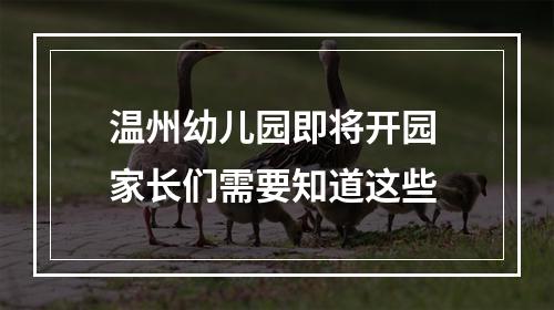 温州幼儿园即将开园 家长们需要知道这些