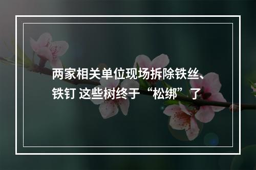 两家相关单位现场拆除铁丝、铁钉 这些树终于“松绑”了