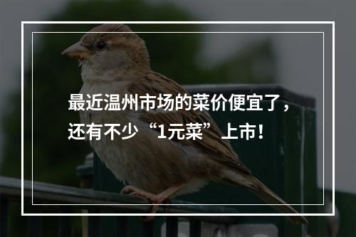 最近温州市场的菜价便宜了，还有不少“1元菜”上市！