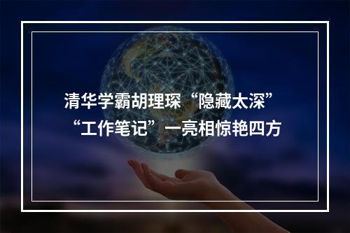 清华学霸胡理琛“隐藏太深” “工作笔记”一亮相惊艳四方