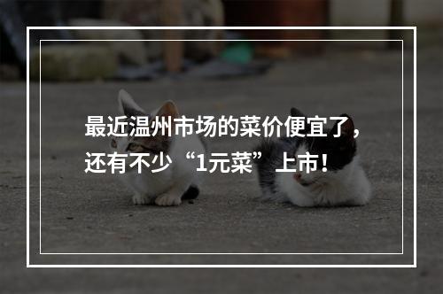 最近温州市场的菜价便宜了，还有不少“1元菜”上市！