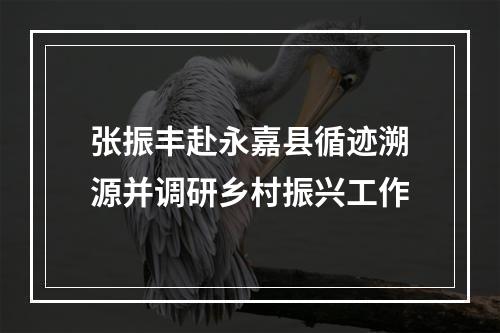 张振丰赴永嘉县循迹溯源并调研乡村振兴工作