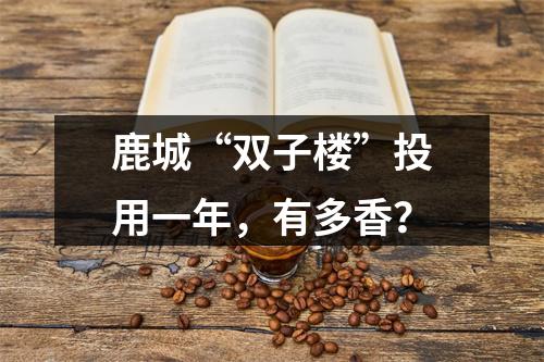 鹿城“双子楼”投用一年，有多香？