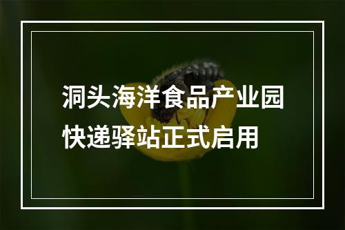洞头海洋食品产业园快递驿站正式启用
