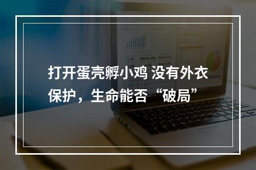 打开蛋壳孵小鸡 没有外衣保护，生命能否“破局”