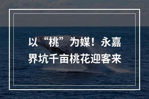 以“桃”为媒！永嘉界坑千亩桃花迎客来