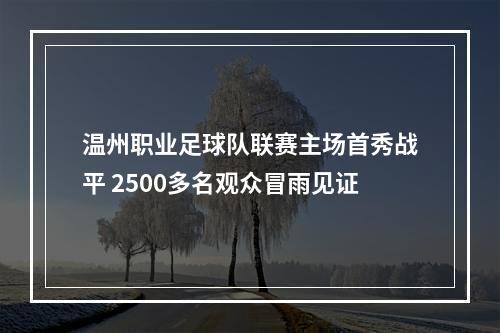 温州职业足球队联赛主场首秀战平 2500多名观众冒雨见证