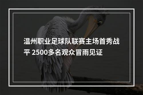 温州职业足球队联赛主场首秀战平 2500多名观众冒雨见证