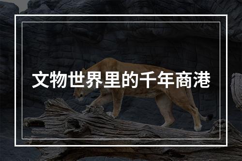 文物世界里的千年商港