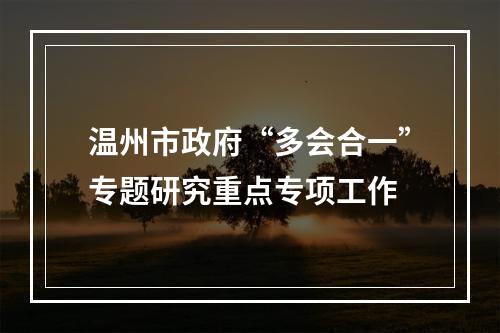 温州市政府“多会合一”专题研究重点专项工作