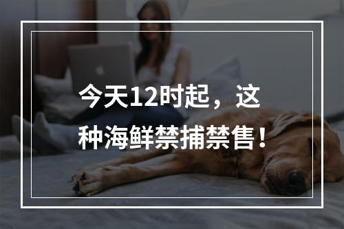 今天12时起，这种海鲜禁捕禁售！