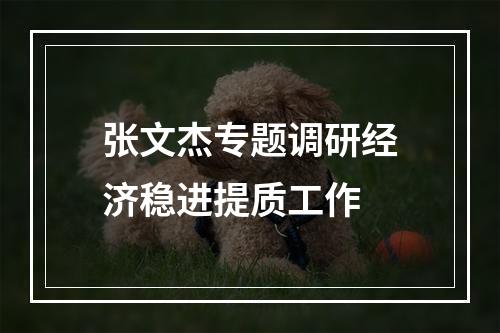 张文杰专题调研经济稳进提质工作