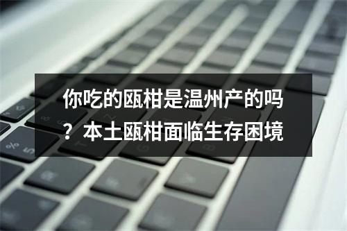 你吃的瓯柑是温州产的吗？本土瓯柑面临生存困境