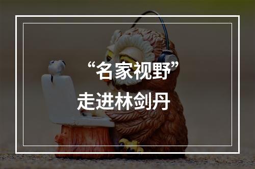 “名家视野”走进林剑丹