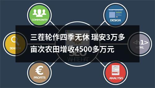 三茬轮作四季无休 瑞安3万多亩次农田增收4500多万元