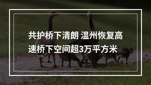 共护桥下清朗 温州恢复高速桥下空间超3万平方米