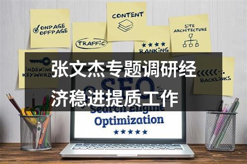 张文杰专题调研经济稳进提质工作