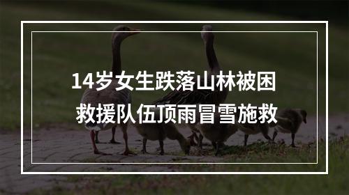 14岁女生跌落山林被困 救援队伍顶雨冒雪施救