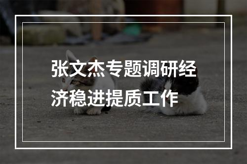 张文杰专题调研经济稳进提质工作