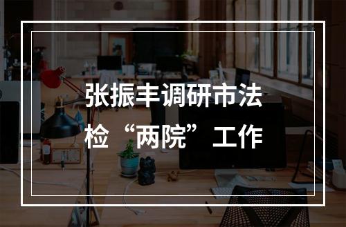 张振丰调研市法检“两院”工作