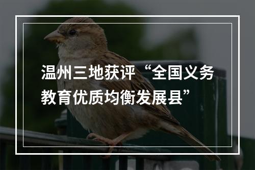 温州三地获评“全国义务教育优质均衡发展县”