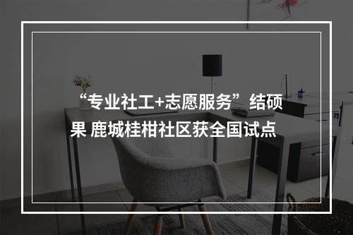 “专业社工+志愿服务”结硕果 鹿城桂柑社区获全国试点