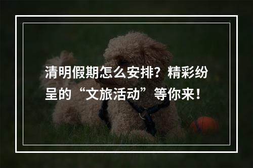 清明假期怎么安排？精彩纷呈的“文旅活动”等你来！