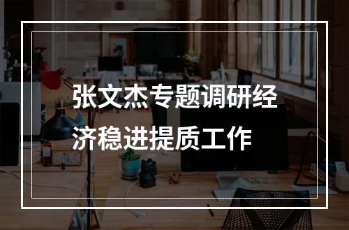 张文杰专题调研经济稳进提质工作