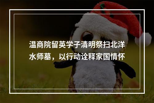 温商院留英学子清明祭扫北洋水师墓，以行动诠释家国情怀