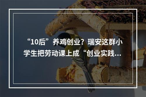 “10后”养鸡创业？瑞安这群小学生把劳动课上成“创业实践课”