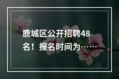 鹿城区公开招聘48名！报名时间为……