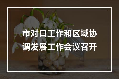 市对口工作和区域协调发展工作会议召开