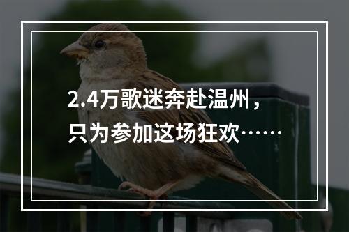 2.4万歌迷奔赴温州，只为参加这场狂欢……