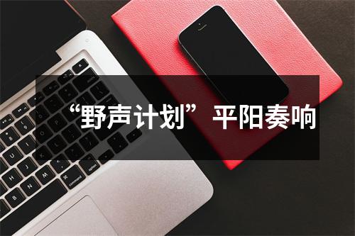 “野声计划”平阳奏响