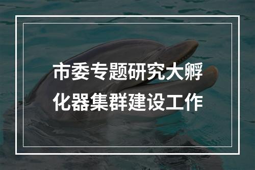 市委专题研究大孵化器集群建设工作