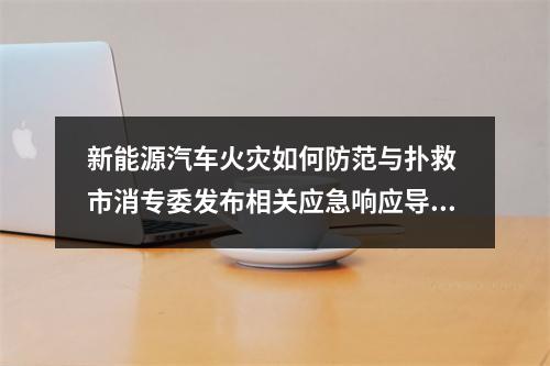 新能源汽车火灾如何防范与扑救 市消专委发布相关应急响应导引