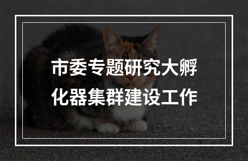 市委专题研究大孵化器集群建设工作