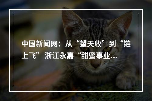 中国新闻网：从“望天收”到“链上飞” 浙江永嘉“甜蜜事业”焕新机
