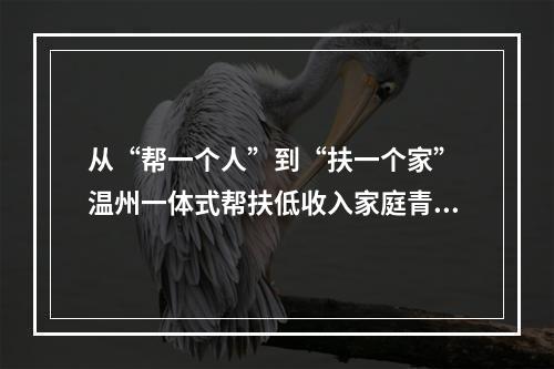 从“帮一个人”到“扶一个家” 温州一体式帮扶低收入家庭青少年