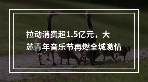 拉动消费超1.5亿元，大麓青年音乐节再燃全城激情