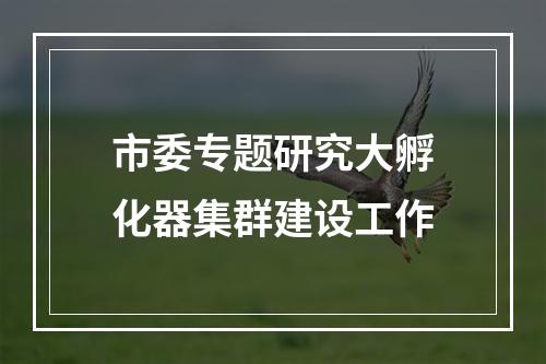 市委专题研究大孵化器集群建设工作