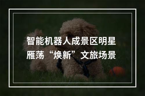 智能机器人成景区明星 雁荡“焕新”文旅场景