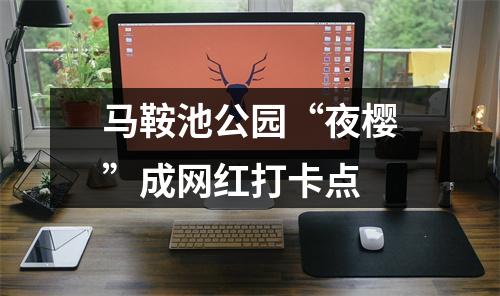 马鞍池公园“夜樱”成网红打卡点