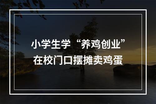 小学生学“养鸡创业” 在校门口摆摊卖鸡蛋