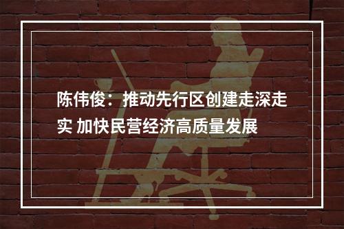 陈伟俊：推动先行区创建走深走实 加快民营经济高质量发展