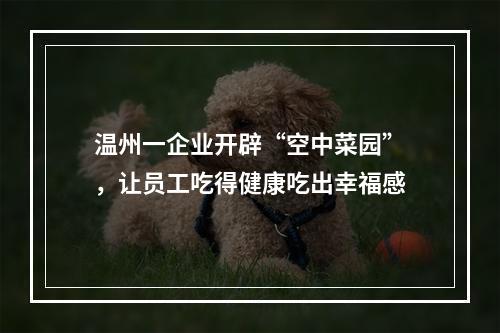 温州一企业开辟“空中菜园”，让员工吃得健康吃出幸福感