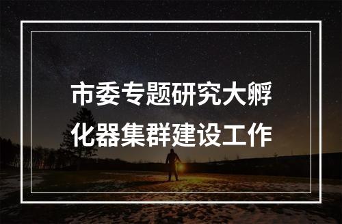 市委专题研究大孵化器集群建设工作