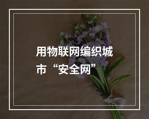 用物联网编织城市“安全网”