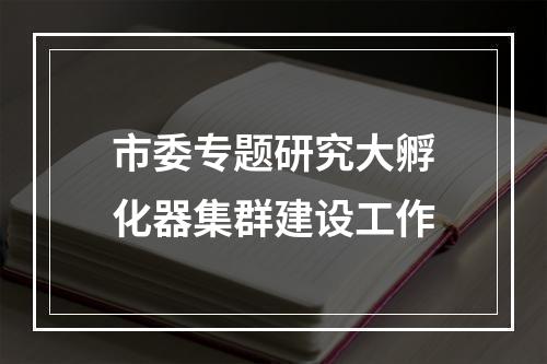 市委专题研究大孵化器集群建设工作