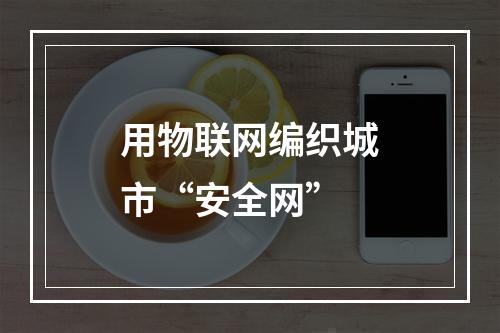 用物联网编织城市“安全网”
